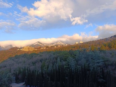 ������� �� ������ ����: ���������� �������� ����� � ���� ������ ���������� �� ����� � ����������