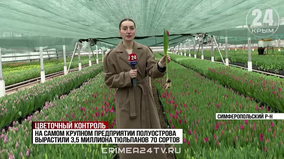 � ���������� 8 ����� ����������� ��������� �������� � ����� �� �������� ������