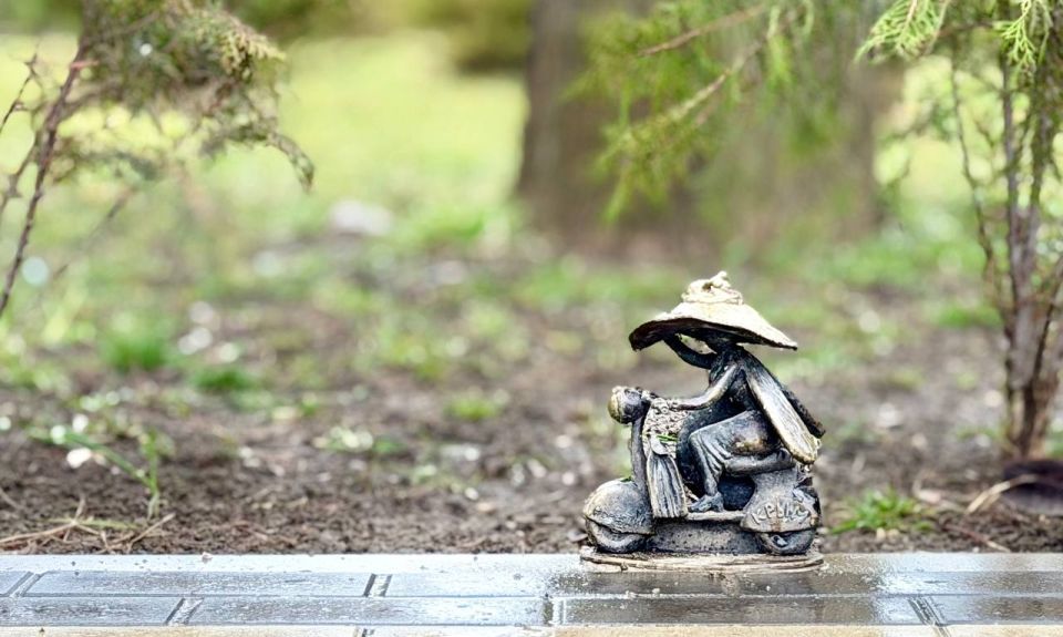 � ���� �������������� ���������� �������� ����������� �� ������ ������