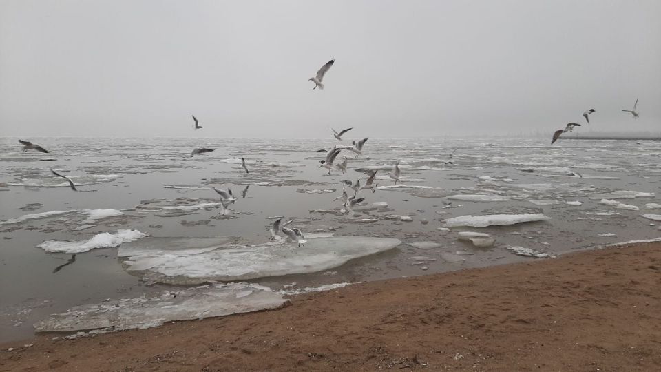 �������� ����������: 50 �������� ������ ��������� ���� �����