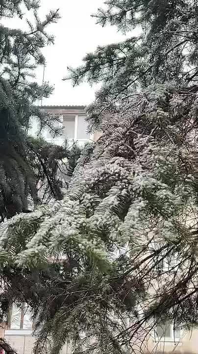 � ����������� ������ ���� ������ ���� ����