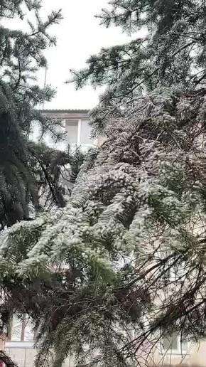 � ����������� ������ ���� ������ ���� ����