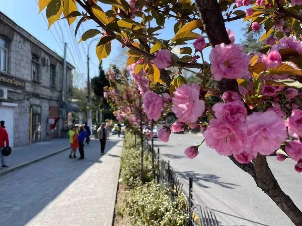 ����� ��������: ��� ��� �� ����� ���� ��������� � ���������� ������ � � ������� � �������� �������