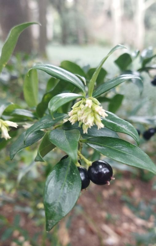 �� �� � �������, ����� ���� �������: ����� ����� ����� ������ �������� ��������