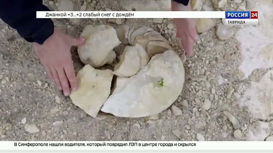 � ����������� ����� ������� ������ ��������� 45 ��������� ���