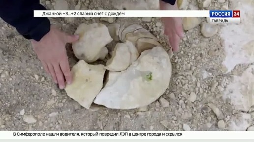 В Симферополе нашли древнюю улитку возрастом 45 миллионов лет