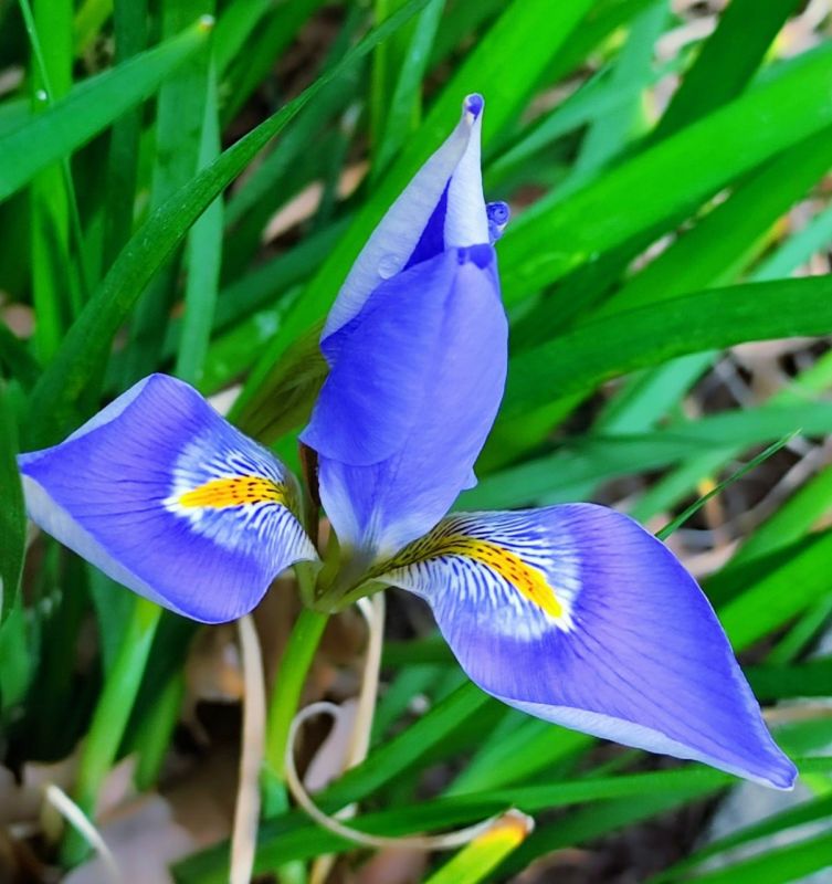 �� �� � �������, ����� ���� �������: ����� ����� ����� ������ �������� ��������