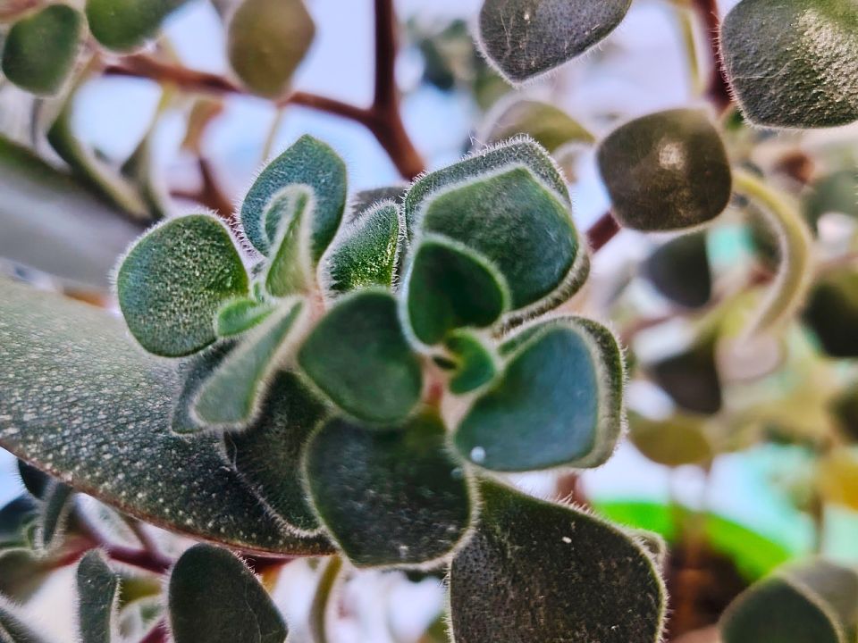 ������ ����, �������!. ����� ���� ����� ������������, � ��� ���������� ���� � ���������