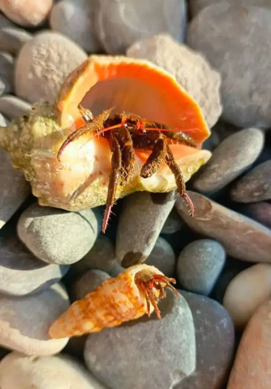 ����� ��������: ��� ��� �� ����� ���� ��������� � ���������� ������ � � ������� � �������� �������