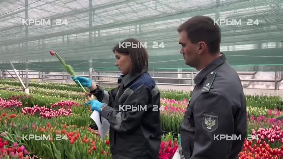 ���������� ����������������� ��������� �������� � �������� ����� ����� 8 �����