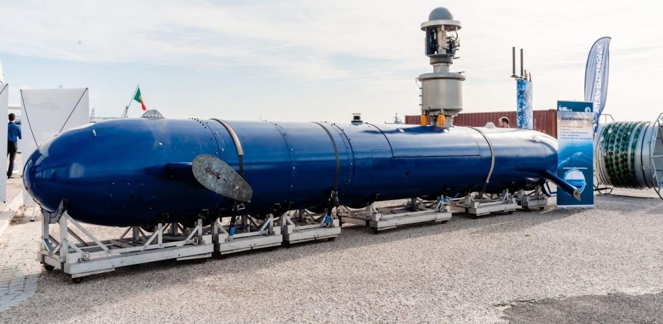 ��� ������: � ���������� ���� ������ ��� ������: �������� �������� ��������� ������� Blue Whale