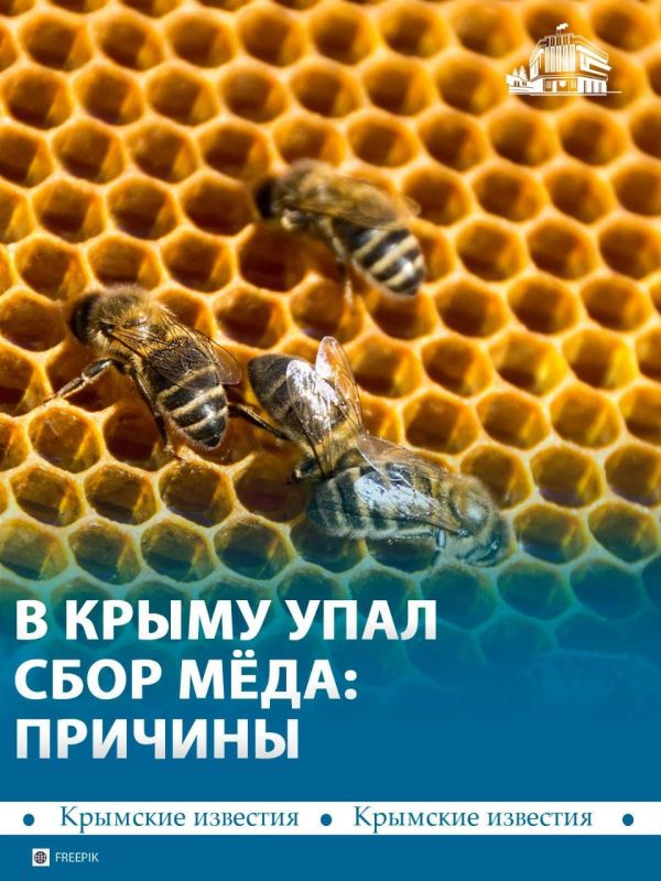 ������ � ���������: ������ � ����� ���� ���� ���