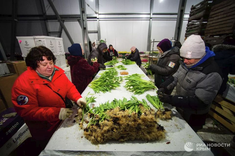 ����� �� �������: ��� ��� ������������ ���������� ��������