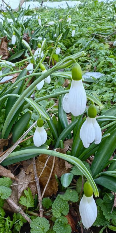 ����� ��� ������. @sandro_crimea