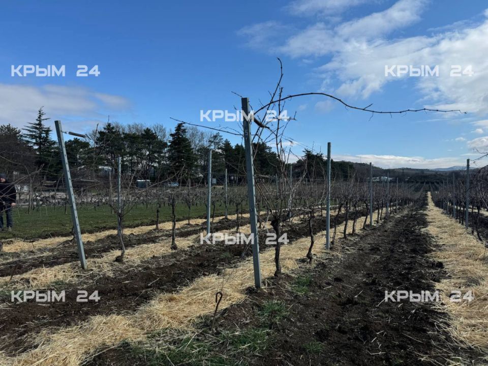 � ����������� ��������� ������� �� ������� ����������� ����