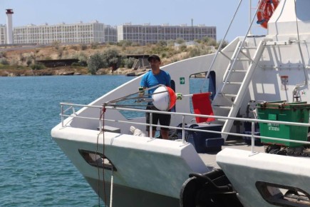 ���������� ��������������� ��������� ������ � ��������� ������� ���������