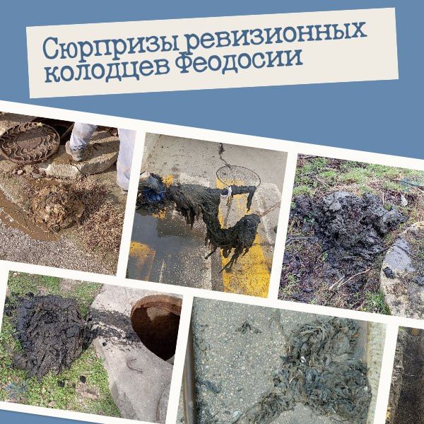 ���� �����: ����������� � �� �������� ���!