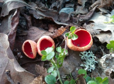 ���� � ������� �������� ���� ����� �������