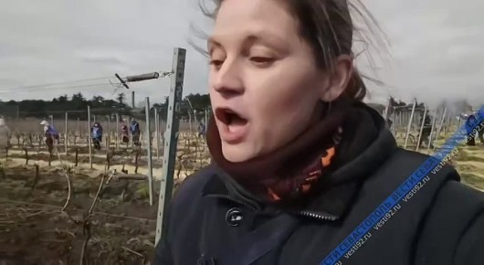 �� ��������������� ������������ �������� ������� ����� ������ � ���������������� ����������� ����������� � ������� ����