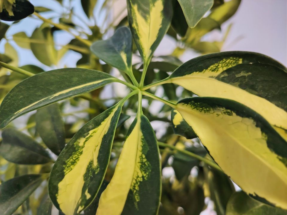 ������ ����, �������!. ����� ���� ���� �������� ����� ��������, ��������� ���������� � ������������ �������� ��������! ������� � �������� �������, t +1 - +6, ����� ���������, ��������