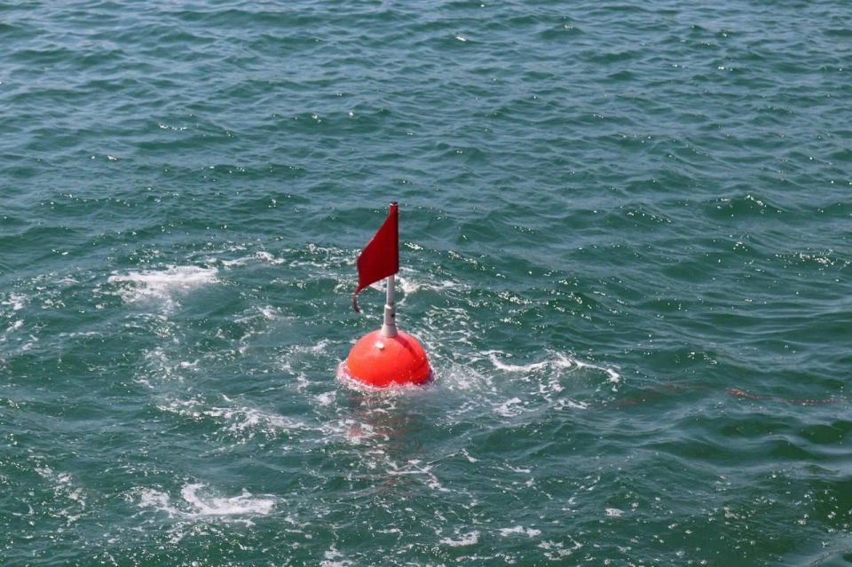 ���������� ��������������� ��������� ������ � ��������� ������� ���������