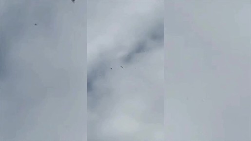 Александр Коц: Бойцы ПВО в Крыму демонстрируют работу нового портативного комплекса БВС «Ёлка»московского производства для перехвата беспилотных летательных аппаратов в зоне СВО