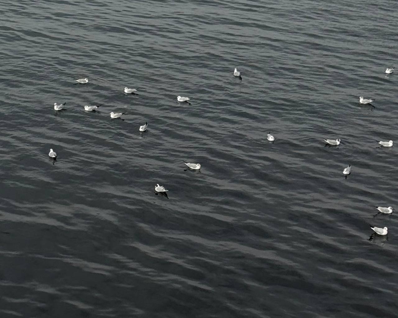 Днем тепло, ночью холодно: какая будет погода завтра