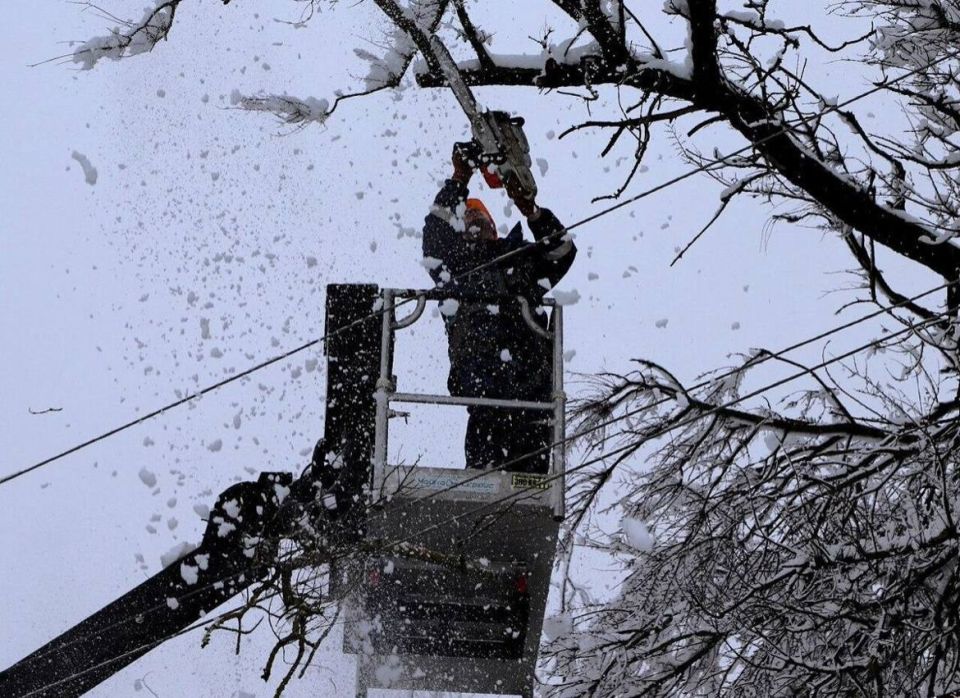 ����� 15 ���� �������� �������� ��� ����� ��-�� ������