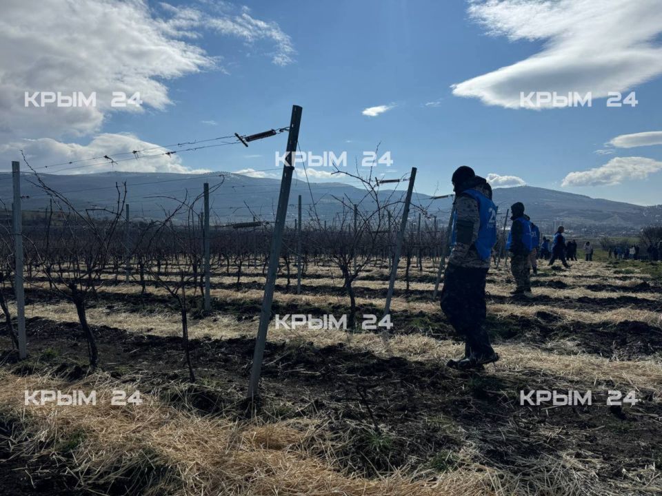 � ����������� ��������� ������� �� ������� ����������� ����