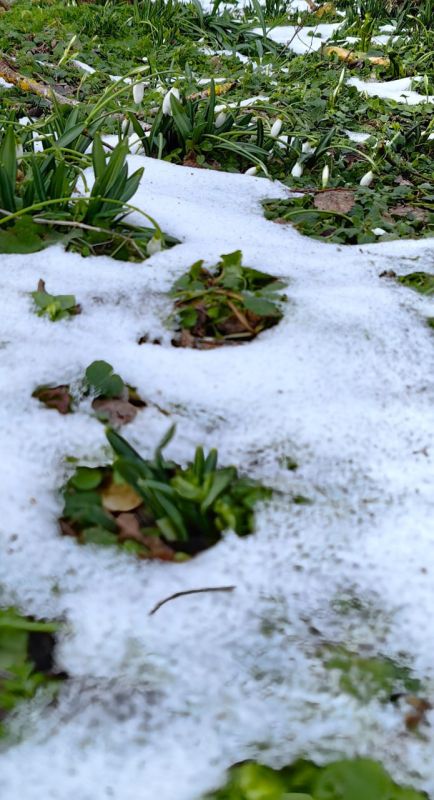 ����� ��� ������. @sandro_crimea