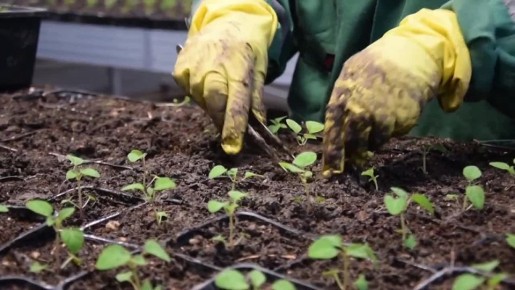 � ��� ������������ ������������ ���������� ������� ��� ������� �� ��������� ������