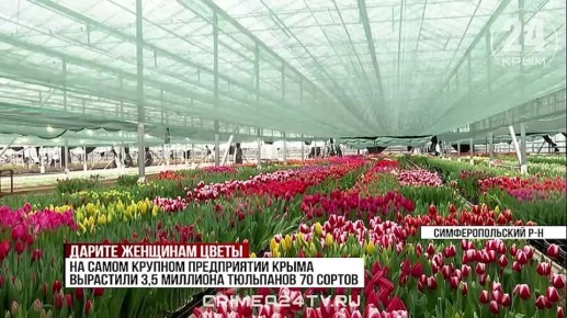 � �������� �������� ��������� �������� ������ � 8 �����