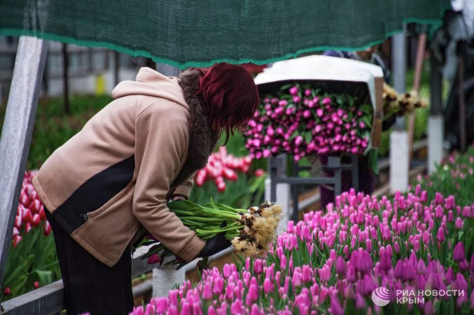 ����� �� �������: ��� ��� ������������ ���������� ��������