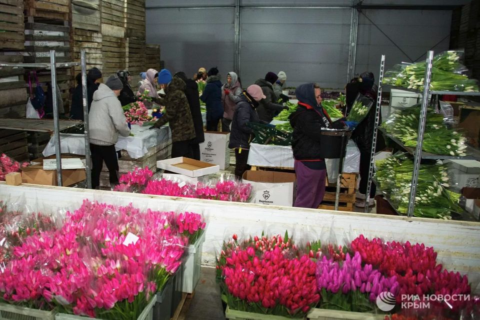 ����� �� �������: ��� ��� ������������ ���������� ��������