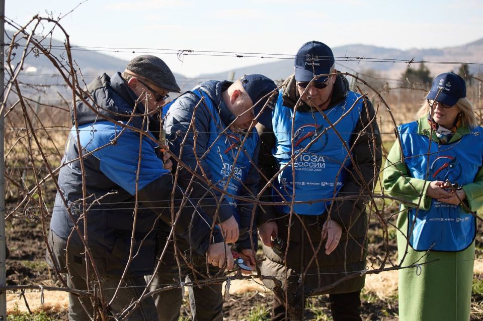 ������ ���������: � ����������� ������� ������ ���������� ����������� ����