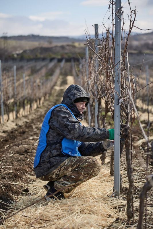 ������ ���������: � ����������� ������� ������ ���������� ����������� ����