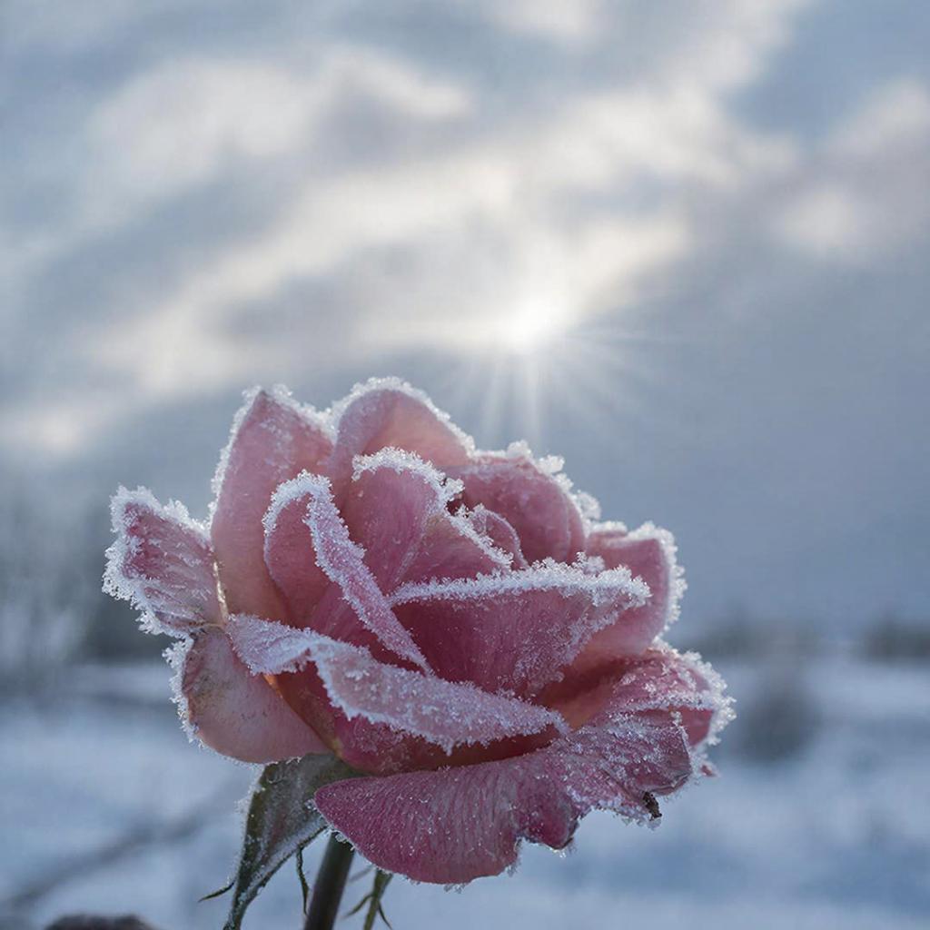 Какая погода ждёт жителей и гостей Крыма 28 февраля