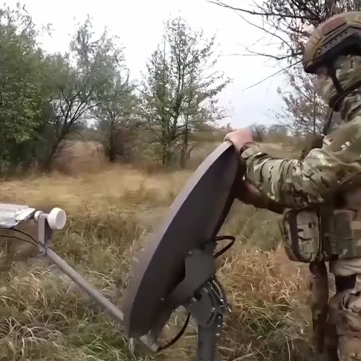 ���� ���������: ������� ������ �� ���������