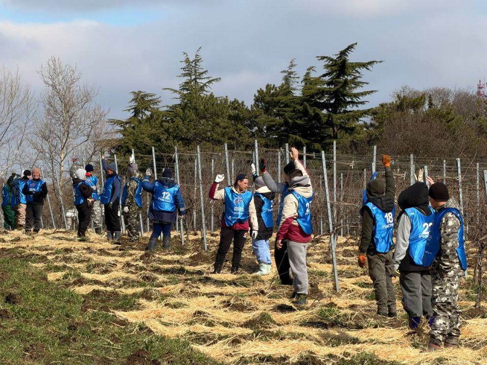 ����������� ����� ��������� �� ������ ������ �� ����� ������ 2026�