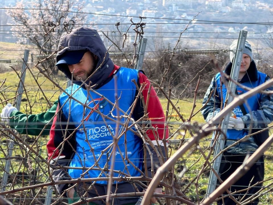 ����������� ����� ��������� �� ������ ������ �� ����� ������ 2026�