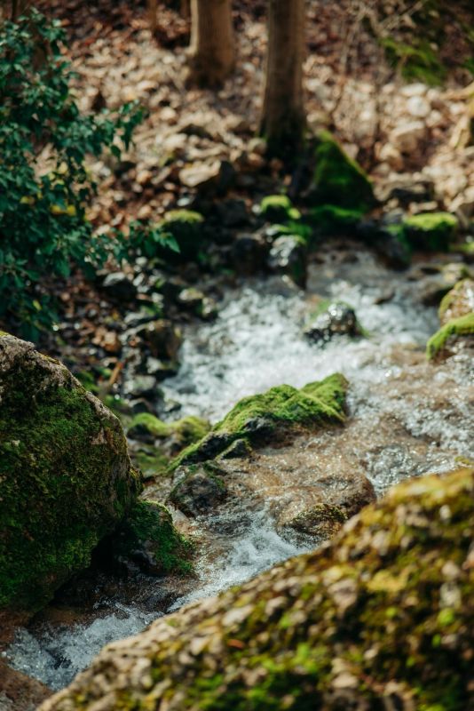 ������� ��-�����, ������ ������� �����