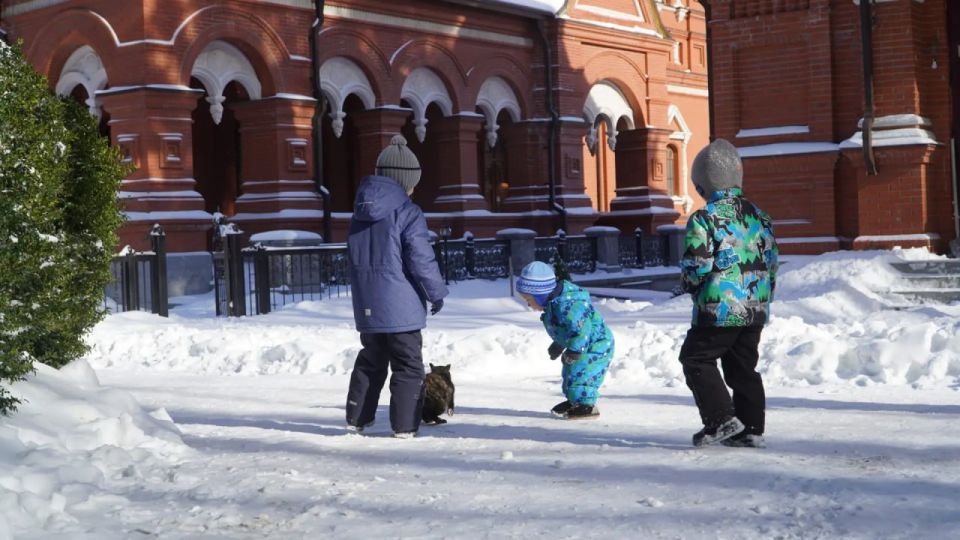 ��������� � �����: ���������� ������ ����� � ��������