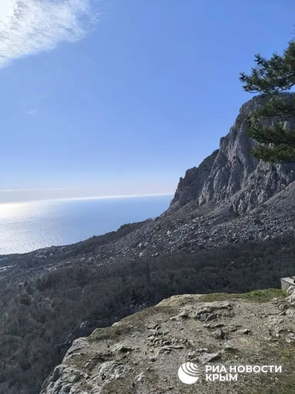 ��� �� �������� ������ ������ ����� � ������ ���� �����