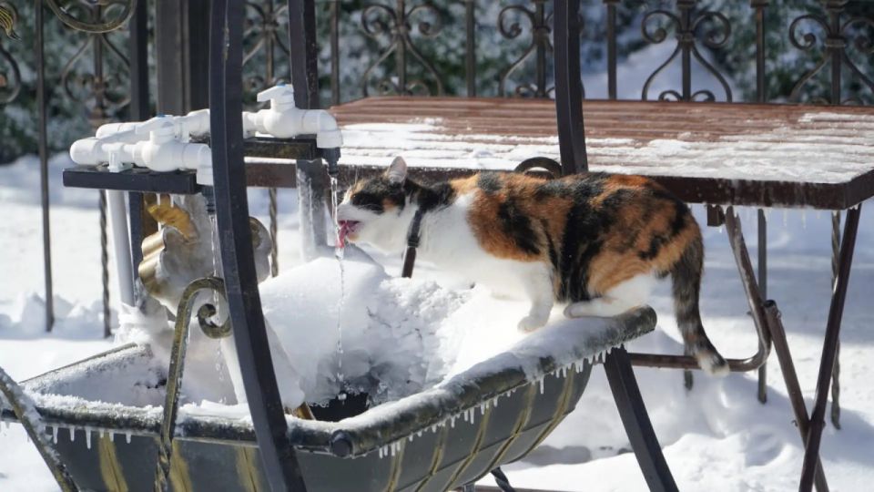 ��������� � �����: ���������� ������ ����� � ��������