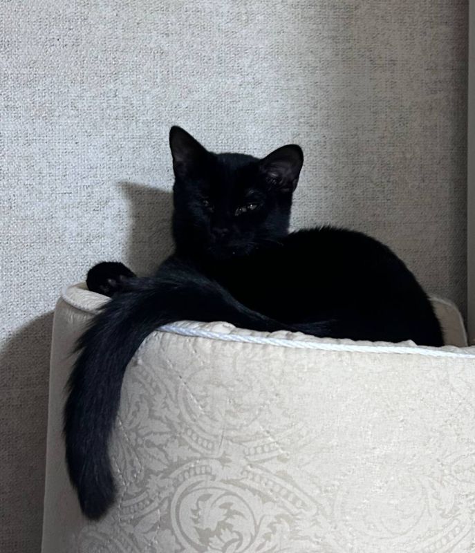 ������� ���������� ��������� �������� �������� �������� � ���� ����� � ������!