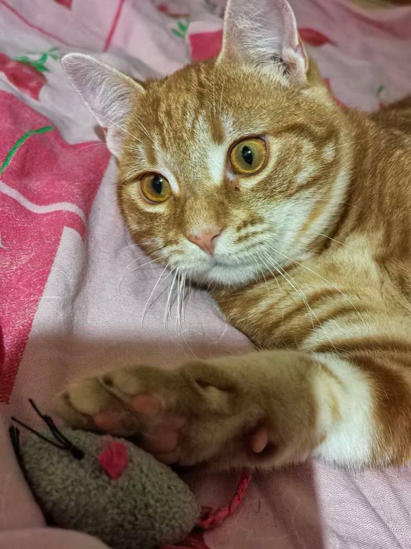 ������� ���������� ��������� �������� �������� �������� � ���� ����� � ������!