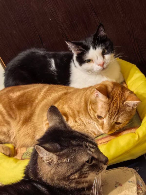 ������� ���������� ��������� �������� �������� �������� � ���� ����� � ������!