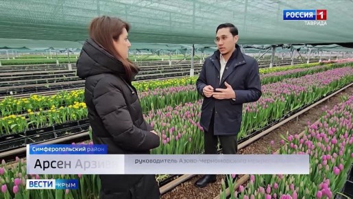 В Крыму усилили контроль качества цветов в преддверии 8 Марта