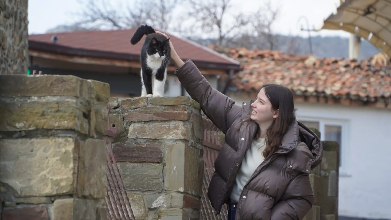 Хранители истории: где в Крыму живут музейные коты Хранители истории: где в Крыму живут музейные коты