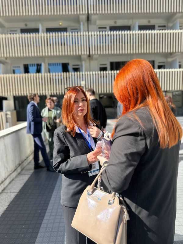 �������� ���� ����� � 2026: ����� �������, ������ � ����������� ��������